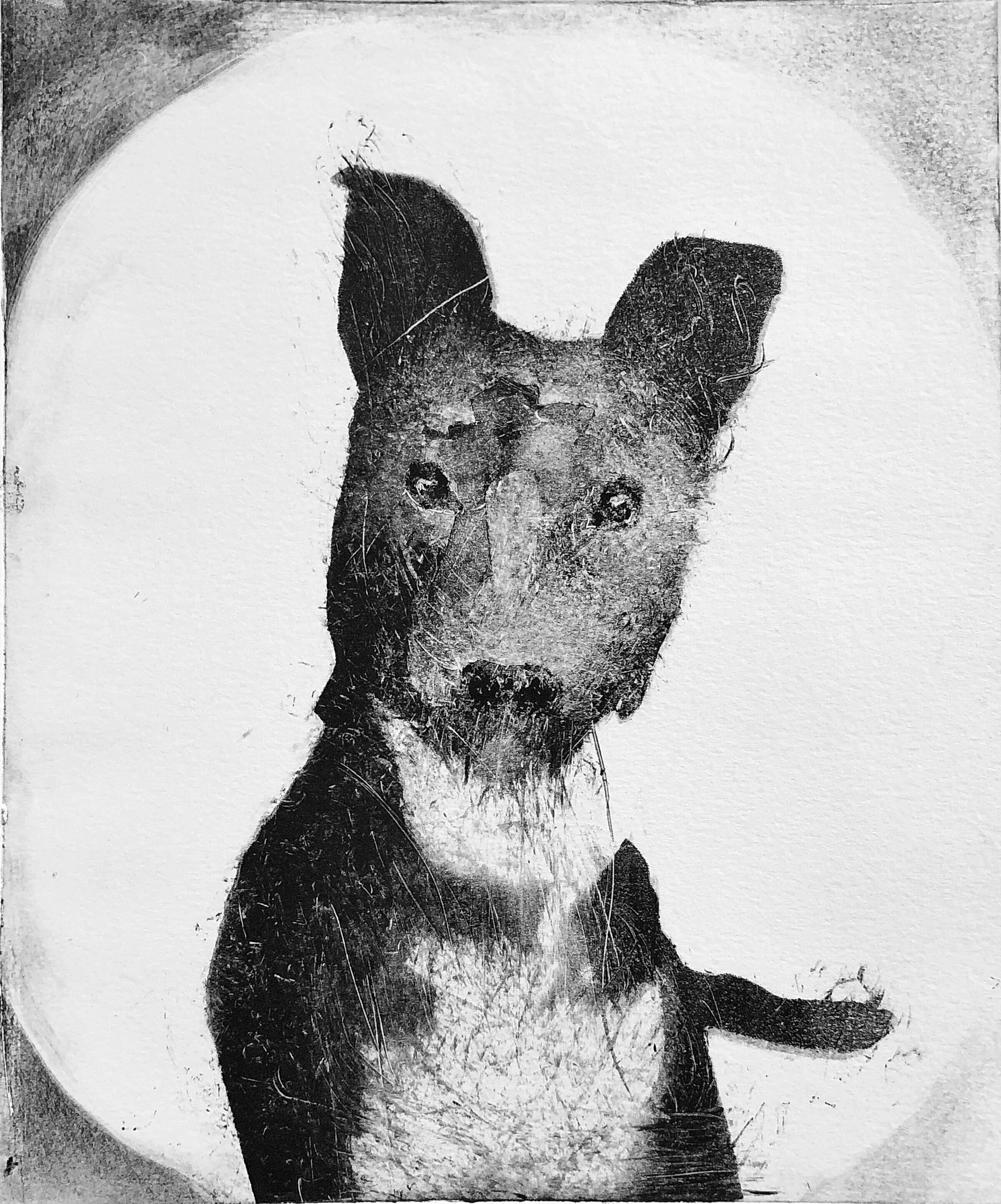 Monotypes, monotype print (3)