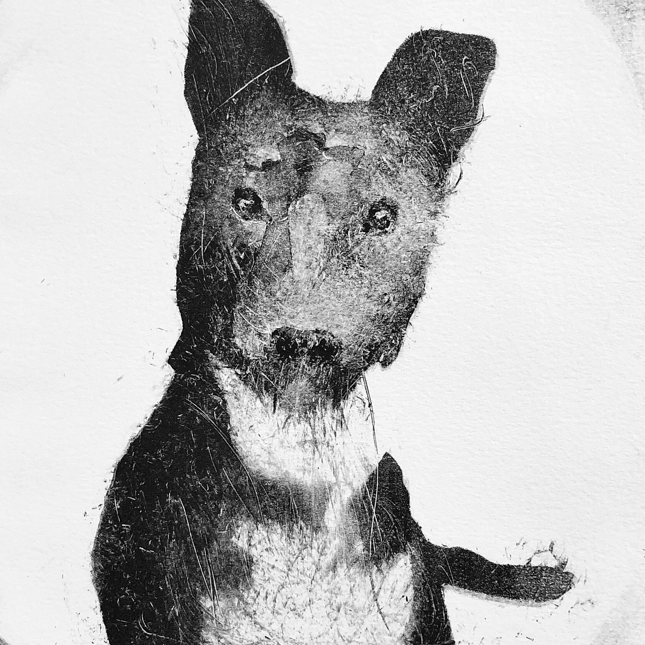 Monotypes, monotype print